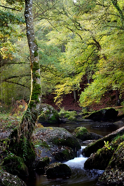 paysage 25_10_09n01.jpg